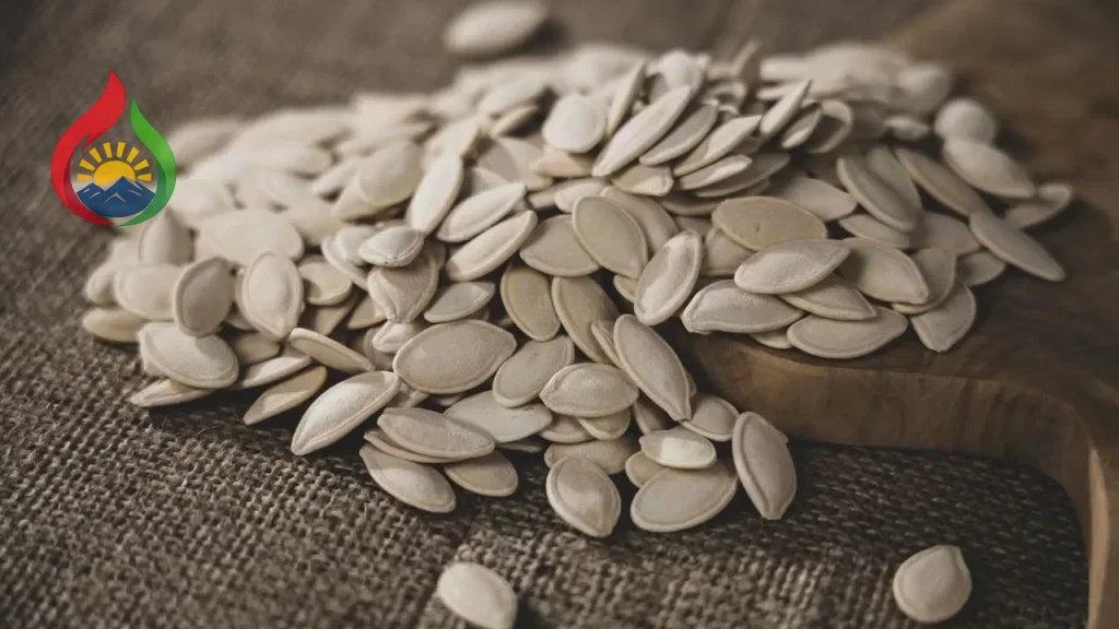 Boranı dənələrinin faydaları: Zülal, vitamin və minerallarla zəngin qida