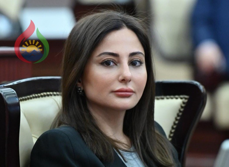 Azərbaycan beynəlxalq investisiya xəritəsində yeni mərhələyə qədəm qoyur