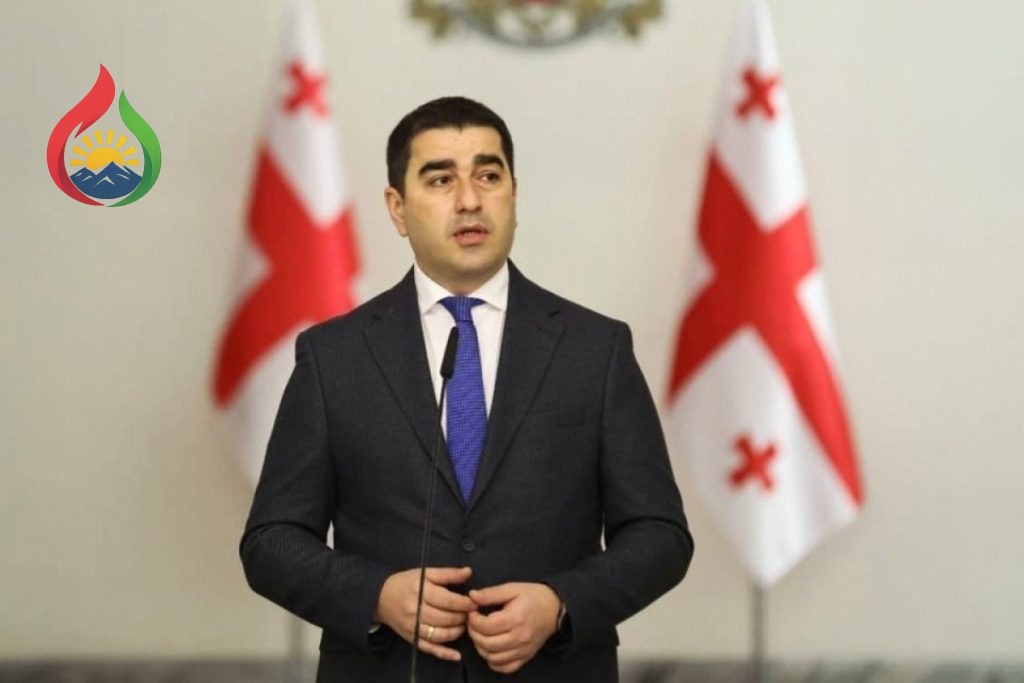 Papuaşvili: Xarici fondların Gürcüstanda siyasi missiya həyata keçirməsinə yol verilməməlidir