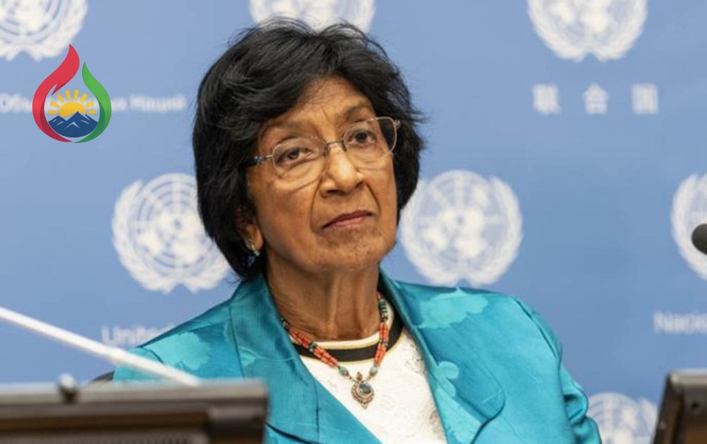 Navi Pillay Sülh üzrə Nobel mükafatına layiq görülüb